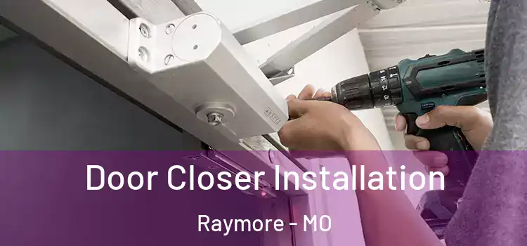 Door Closer Installation Raymore - MO