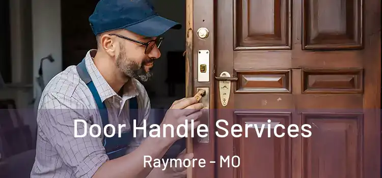 Door Handle Services Raymore - MO