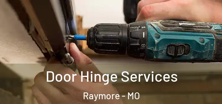 Door Hinge Services Raymore - MO