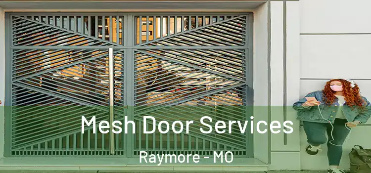 Mesh Door Services Raymore - MO