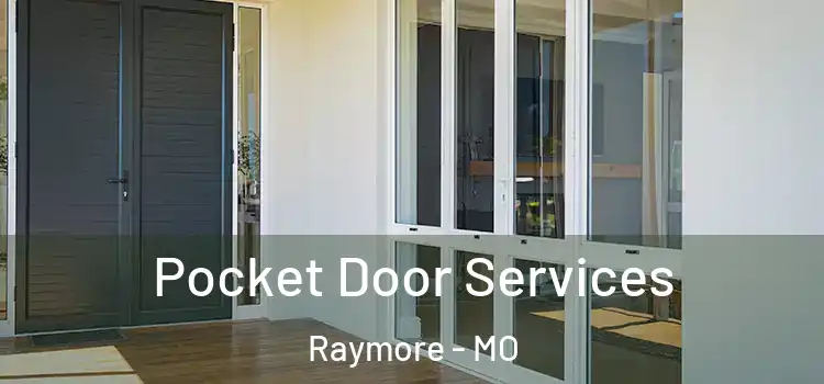 Pocket Door Services Raymore - MO